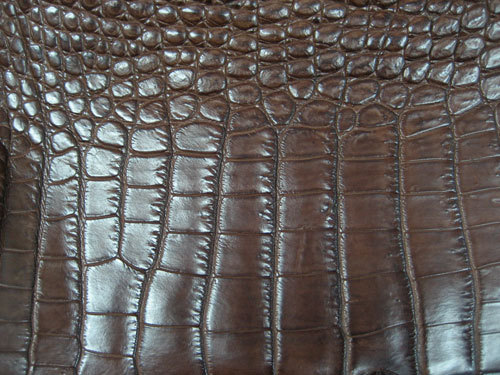 Les cuirs de crocodiles mâts sont les plus beaux, les plus précieux. A noter que la peau du ventre est la plus recherchée : les écailles y sont carrées, plus régulières et surtout la peau y est plus souple. 