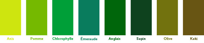 palette-vert