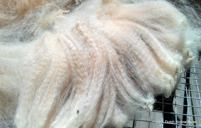 Qu'est-ce que la laine mérinos recyclée ?