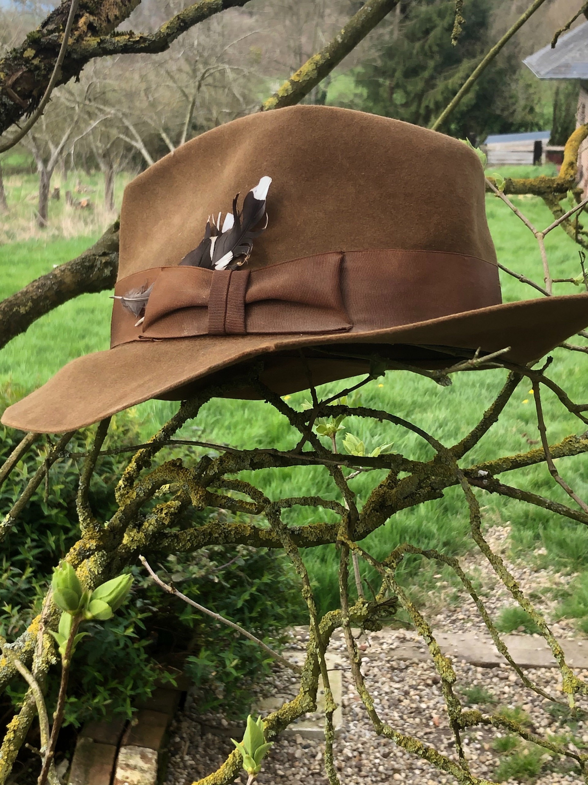 chapeau à plume sur un arbre