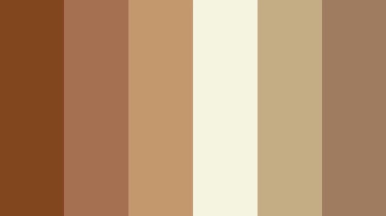 palette couleur marron
